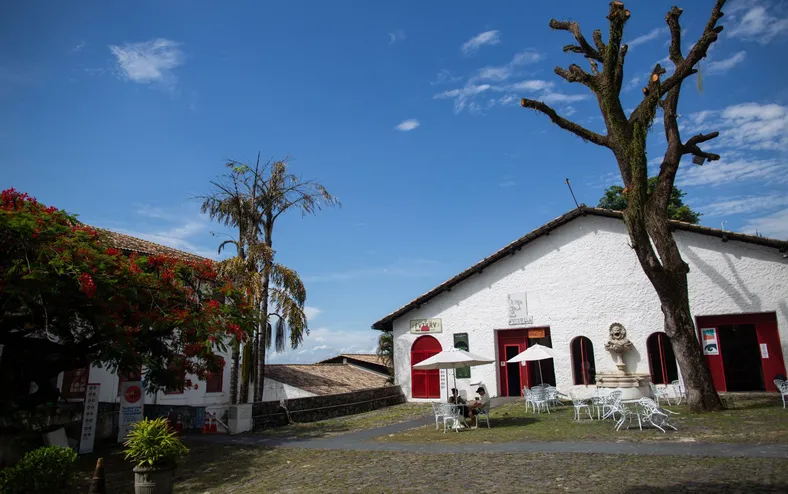 MAM recebe oficina de grafite e rodas de conversa gratuitas em abril - Imagem