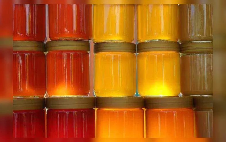 Mel falso ou puro? Saiba se você está sendo enganado - Imagem