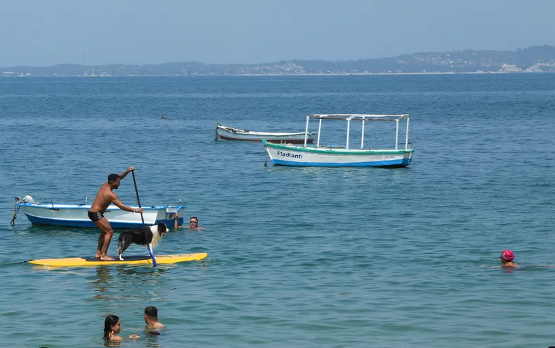 Porto da Barra terá boias para separar área de banhistas e barcos - Imagem