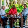 Chapa puro-sangue na Bahia: tática do PT para 2026 acumula seis vitórias na história - Imagem