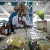 Cerveja, cacau e arte: indígenas transformam floresta em renda