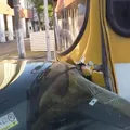 Acidentes de trânsito deixam morto, feridos e motorista preso em Salvador imagem
