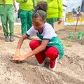 Alagoinhas lança projeto escolas verdes de sustentabilidade imagem