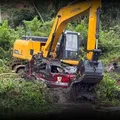 Carro levado por enchente é encontrado após quase cinco anos na Bahia imagem