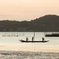 Concha: a moeda que mudou destino de pescadores e driblou crise em ilha na Bahia imagem