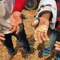 Da promessa ao cativeiro: baianos ainda enfrentam rotina de trabalho análogo à escravidão imagem