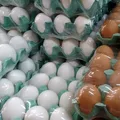 Do vilão ao queridinho: consumo de ovos dispara no Brasil e vira base de dietas imagem