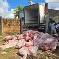 Funcionários são feitos reféns após roubo de carga em Vista Alegre imagem