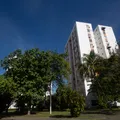 Mais árvores: governo amplia ações para arborizar cidades brasileiras imagem