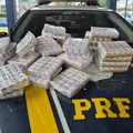 Quase 3 mil medicamentos emagrecedores são apreendidos em carreta na Bahia imagem