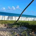 MPF investiga bloqueio de acesso e devastação em praia de Camaçari imagem