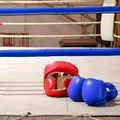 Muay Thai e Jiu-jitsu: Brasil é o país que mais busca esportes de combate imagem
