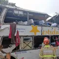Nove pessoas morrem em tombamento de ônibus na descida de rodovia imagem