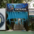 Novo aquário em Salvador reúne peixes exóticos e experiências educativas imagem