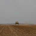 Soja alavanca agronegócio e Bahia prevê maior colheita da história em 2026 imagem