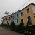"Suíça do Nordeste": conheça destino que encanta pelo clima frio imagem