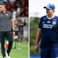 Técnicos da dupla BaVi resistem ao Brasileirão com 14 demissões imagem