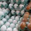 Do vilão ao queridinho: consumo de ovos dispara no Brasil e vira base de dietas