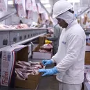Após fechar fábricas, JBS, dos irmãos Batista, anuncia expansão de R$ 772 milhões