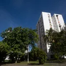 Mais árvores: governo amplia ações para arborizar cidades brasileiras