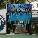 Novo aquário em Salvador reúne peixes exóticos e experiências educativas
