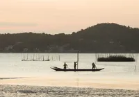Concha: a moeda que mudou destino de pescadores e driblou crise em ilha na Bahia