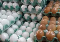 Do vilão ao queridinho: consumo de ovos dispara no Brasil e vira base de dietas