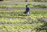 Falta de apoio e infraestrutura ainda são entraves para produtor baiano
