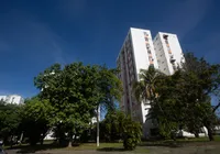 Mais árvores: governo amplia ações para arborizar cidades brasileiras