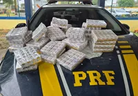 Quase 3 mil medicamentos emagrecedores são apreendidos em carreta na Bahia