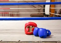 Muay Thai e Jiu-jitsu: Brasil é o país que mais busca esportes de combate