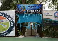 Novo aquário em Salvador reúne peixes exóticos e experiências educativas