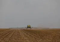 Soja alavanca agronegócio e Bahia prevê maior colheita da história em 2026