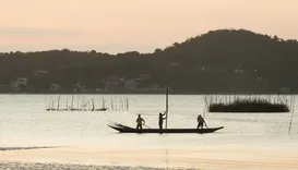 Concha: a moeda que mudou destino de pescadores e driblou crise em ilha na Bahia