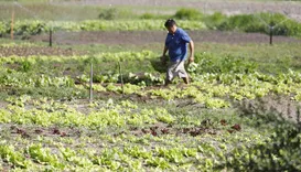 Falta de apoio e infraestrutura ainda são entraves para produtor baiano
