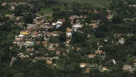 Palmeiras: sem plano diretor, boom imobiliário gera ameaças a ambientalistas