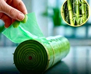 Plásticos biodegradáveis de bambú