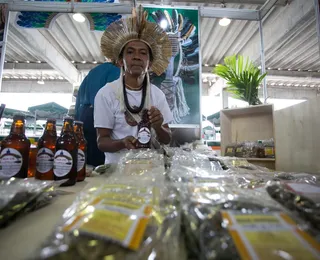Cerveja, cacau e arte: como indígenas baianos transformam a floresta em renda coletiva