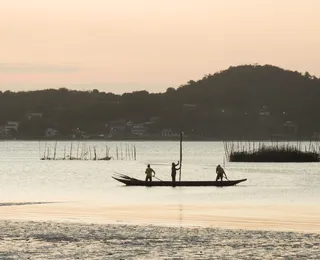 Concha: a moeda que mudou destino de pescadores e driblou crise em ilha na Bahia