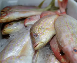 De peixes a pneus: como tarifaço aperta principais setores da Bahia