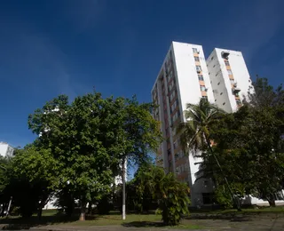 Mais árvores: governo amplia ações para arborizar cidades brasileiras