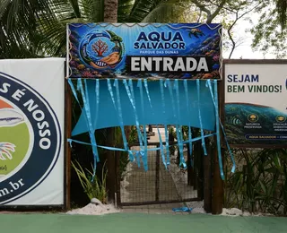 Novo aquário em Salvador reúne peixes exóticos e experiências educativas