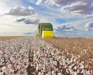 El Niño e mais: como fenômenos climáticos podem impactar nas safras