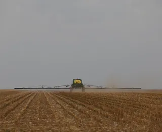 Soja alavanca agronegócio e Bahia prevê maior colheita da história em 2026