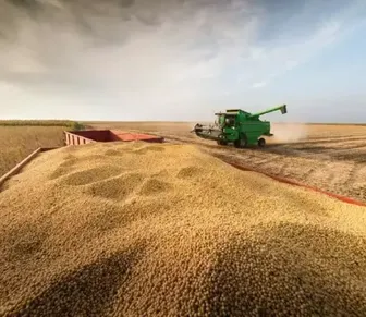 A caminho do Tri: Plano Agro sem meta é futebol sem gol