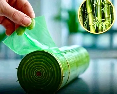 Plásticos biodegradáveis de bambú