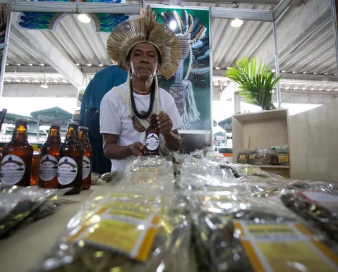 Cerveja, cacau e arte: como indígenas baianos transformam a floresta em renda coletiva