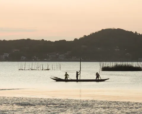 Concha: a moeda que mudou destino de pescadores e driblou crise em ilha na Bahia