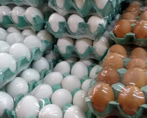 Do vilão ao queridinho: consumo de ovos dispara no Brasil e vira base de dietas