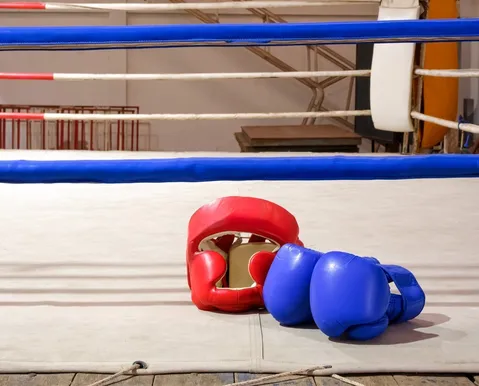 Muay Thai e Jiu-jitsu: Brasil é o país que mais busca esportes de combate